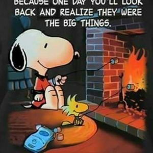 Meet your Posher, Dotty